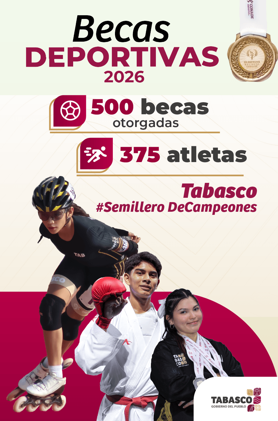 Publicidad — La Verdad del Sureste